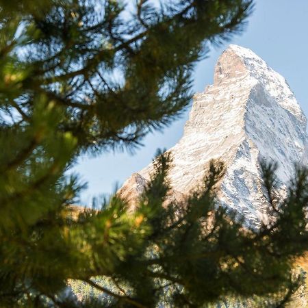 Bed & Breakfast Bijou Zermatt Exterior foto